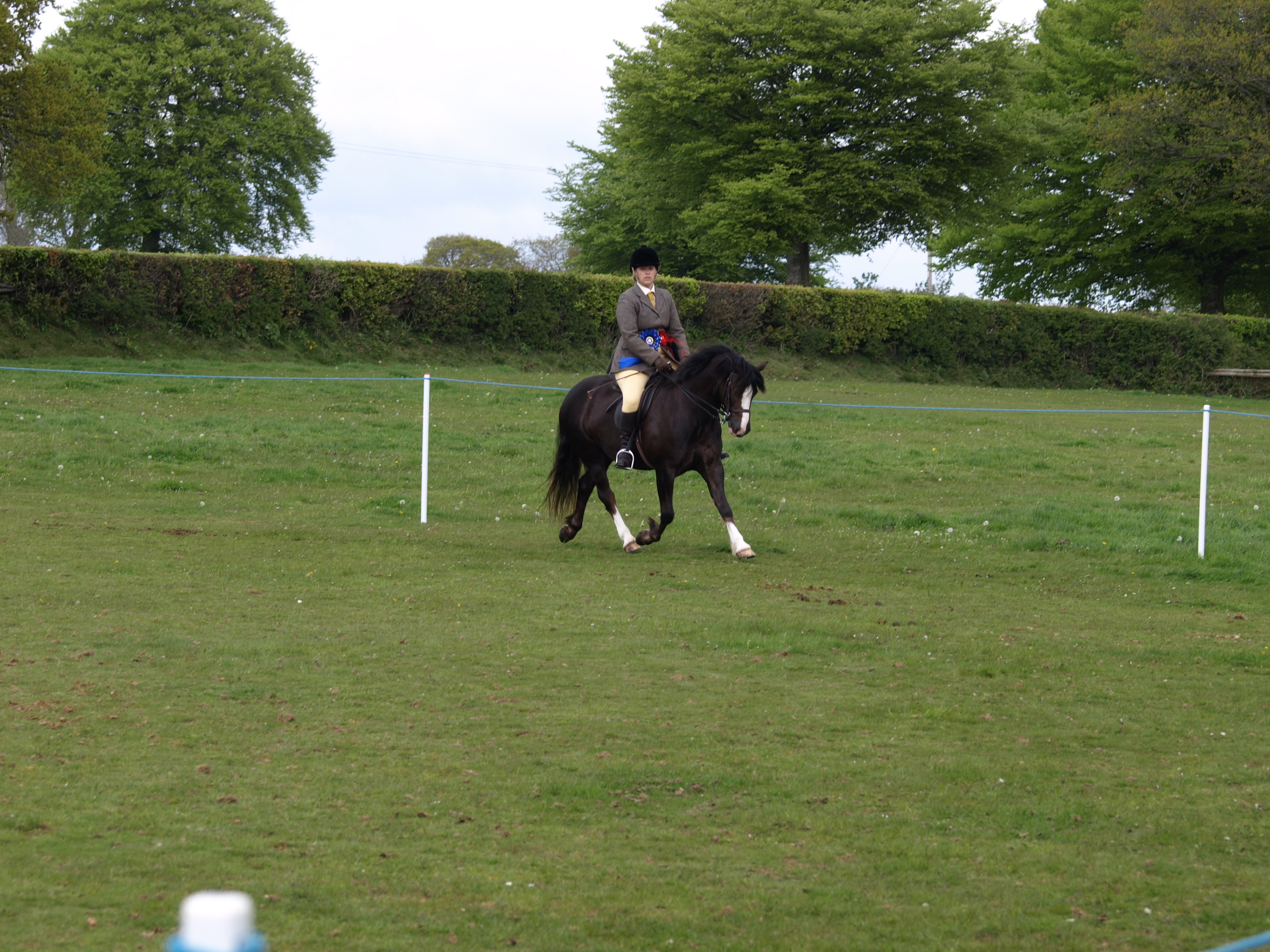 seren/P5104520.JPG
