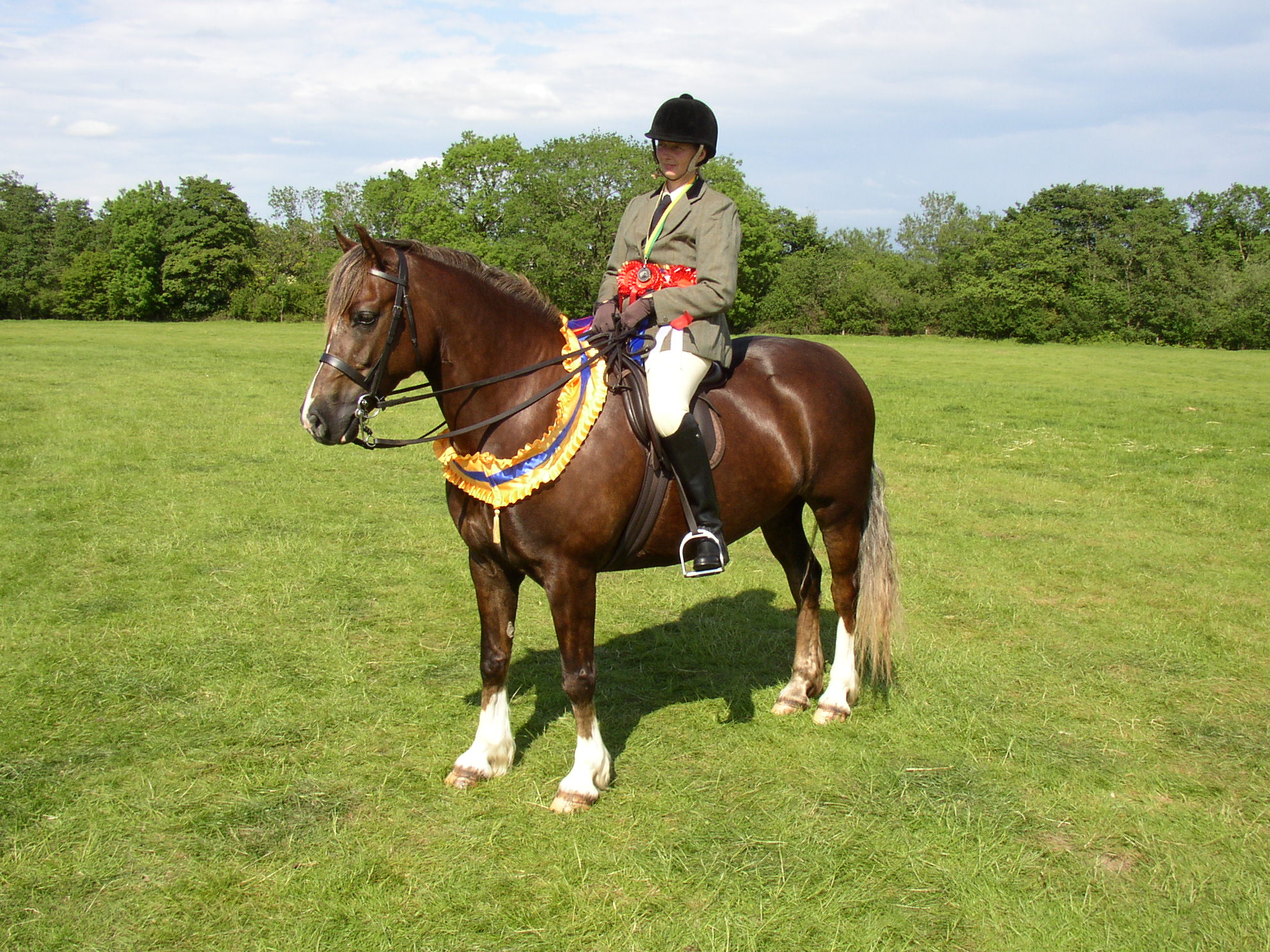 seren/P6040020.JPG