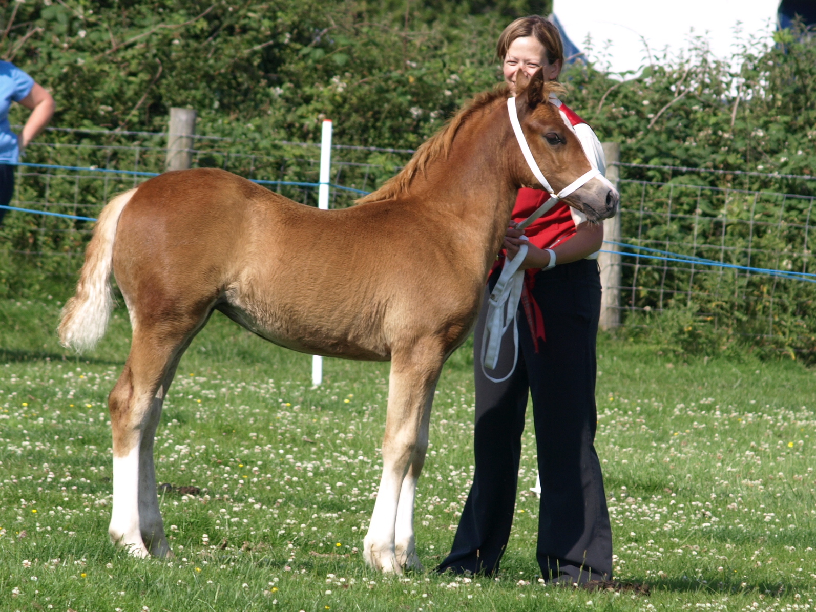 seren/P6274761.JPG
