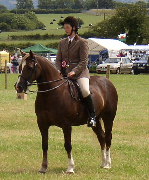 seren/P7100081.JPG
