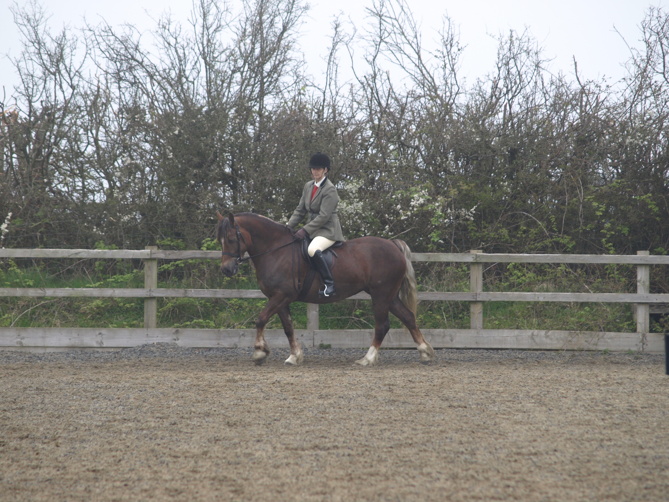 seren/ffos_show_26_.JPG