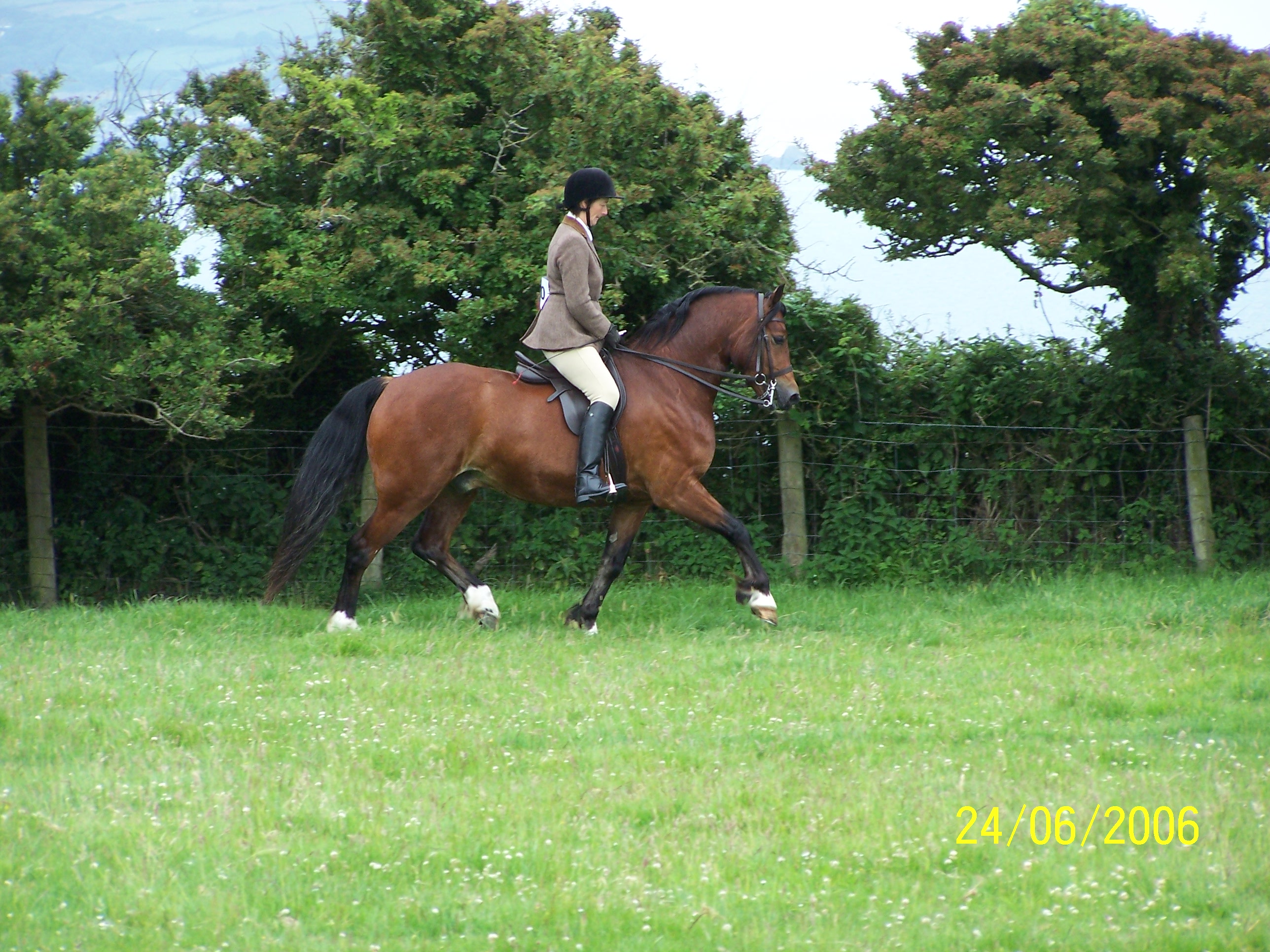 seren/ffosyffin_2006_090.jpg