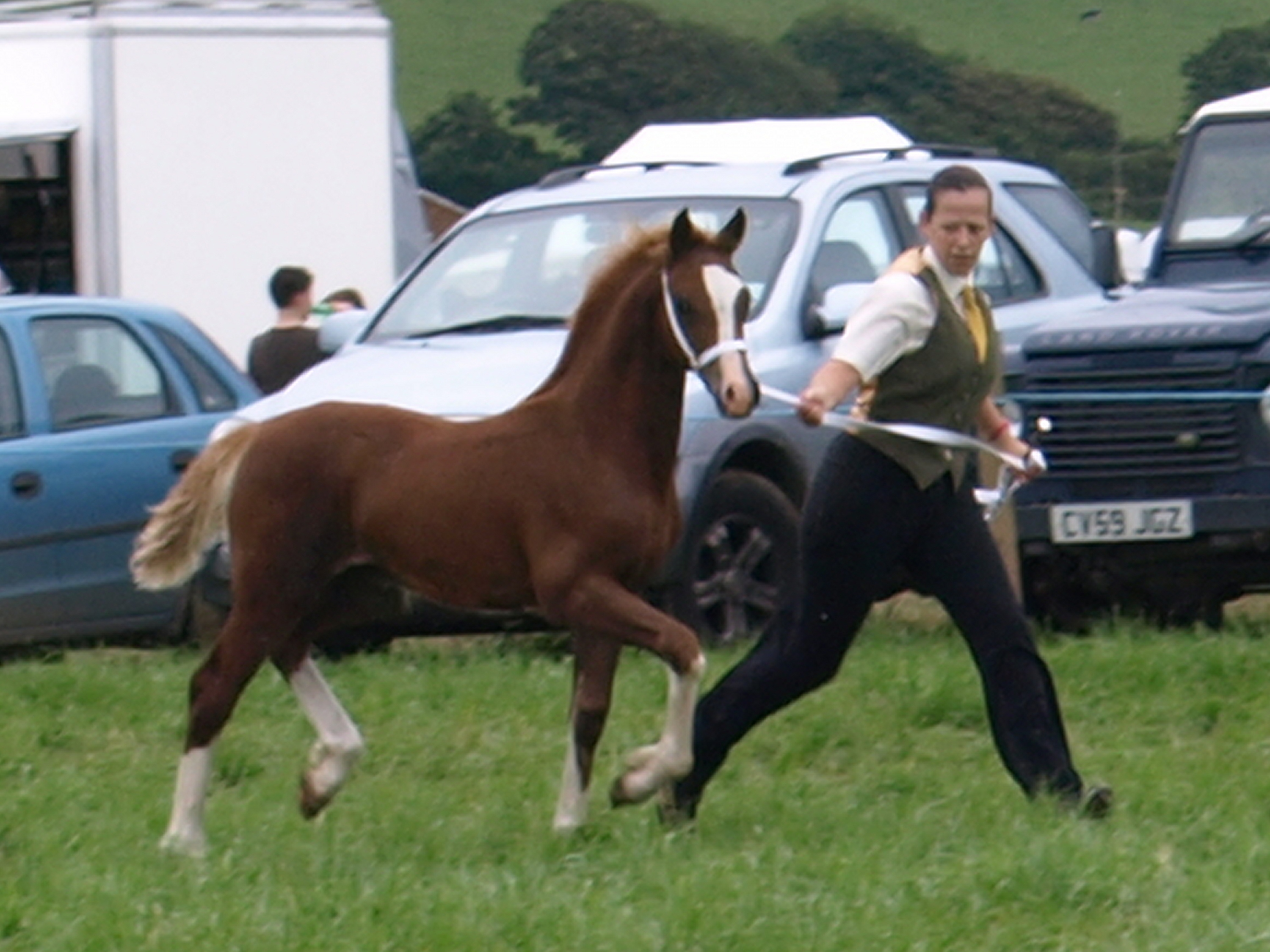 seren/rosiepembscounty.jpg